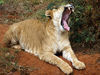 P1040382_.jpg